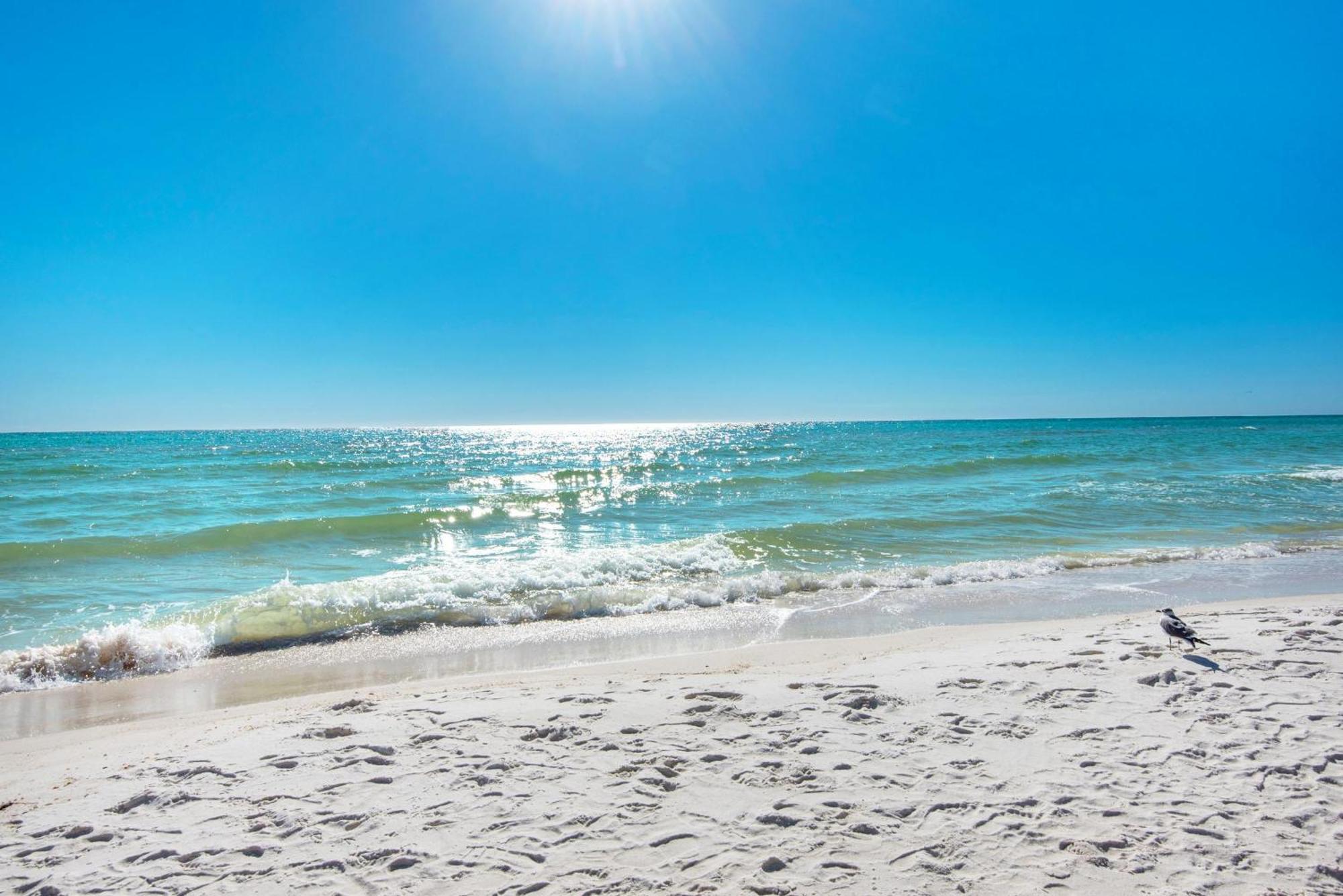 Shores Of Panama 908 Panama City Beach Buitenkant foto
